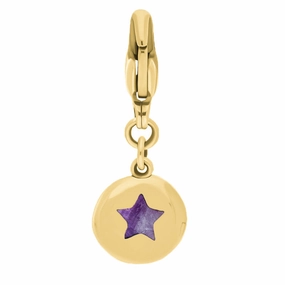 18ct Yellow Gold Blue John Round Shaped Star Clip Charm