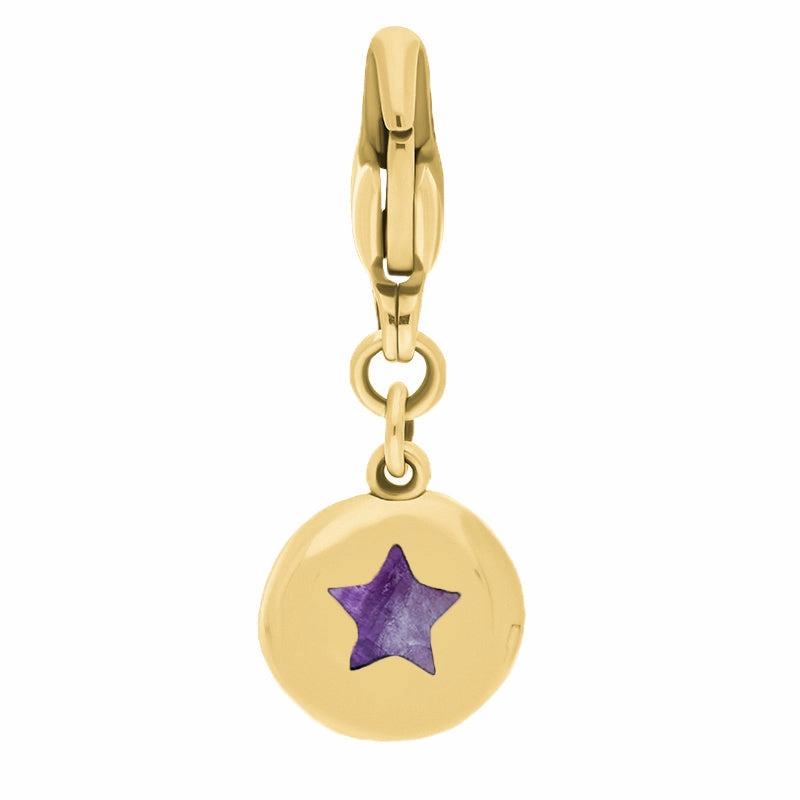 18ct Yellow Gold Blue John Round Shaped Star Clip Charm