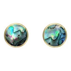 9ct Yellow Gold Abalone 8mm Classic Large Round Stud Earrings