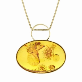 9ct Yellow Gold Baltic Amber Oval Bail Unique Necklace D D