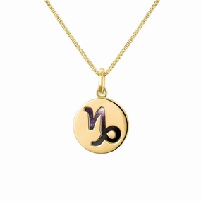 9ct Yellow Gold Blue John  Zodiac Capricorn Round Necklace