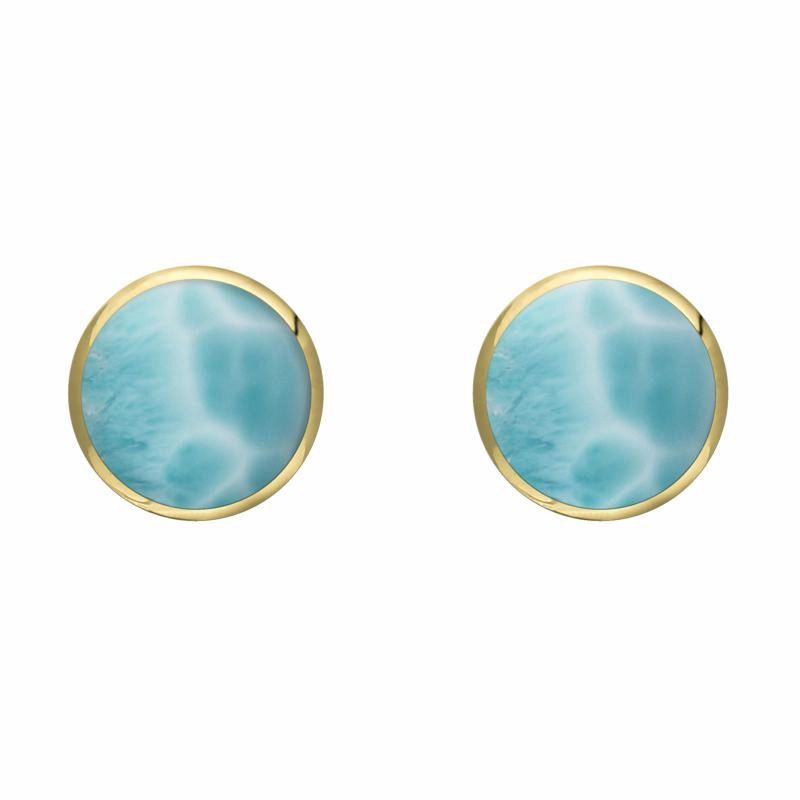 9ct Yellow Gold Larimar 6mm Classic Medium Round Stud Earrings