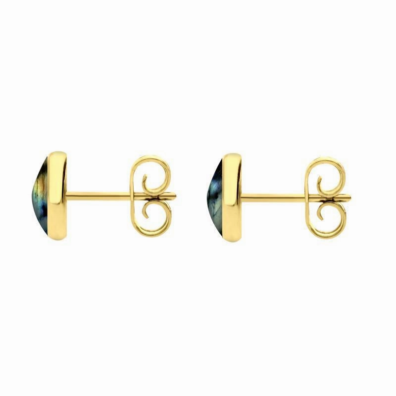 9ct Yellow Gold Spectrolite 6mm Classic Medium Round Stud Earrings