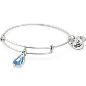 Alex And Ani March Birth Month Charm Bangle With Swarovski Crystals
