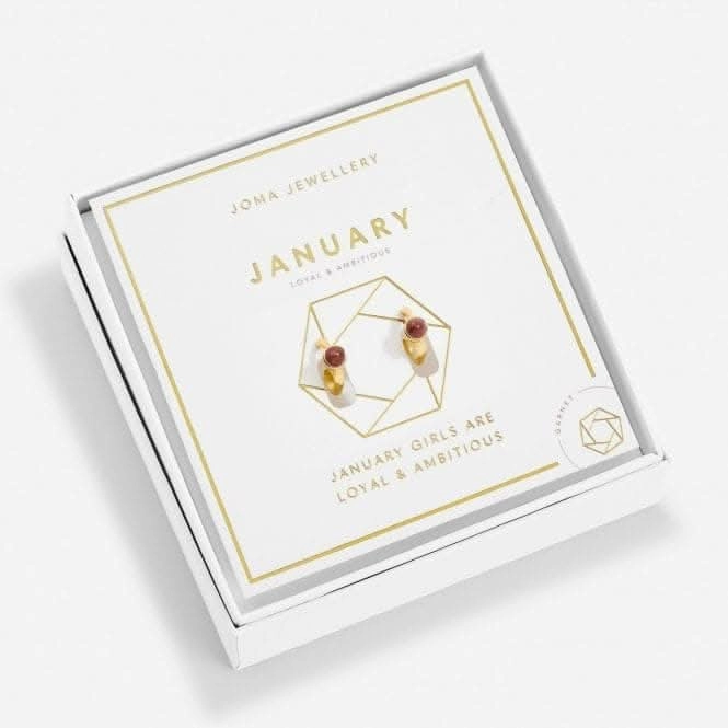 Birthstone Hoop Earring January Gold Plated Earrings 6747
