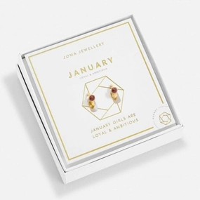 Birthstone Hoop Earring January Gold Plated Earrings 6747