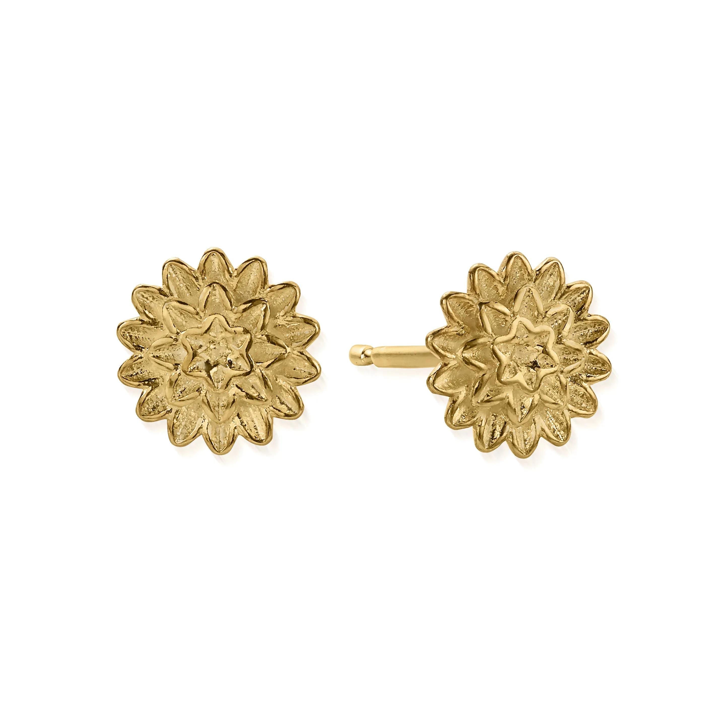 ChloBo Gold Plated Sterling Silver Botanical Beauty Stud Earrings