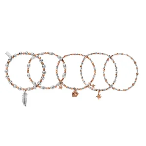 Chlobo Mixed Metal Rose Gold Plated and Silver Lucky Set of 5 Bracelet D
