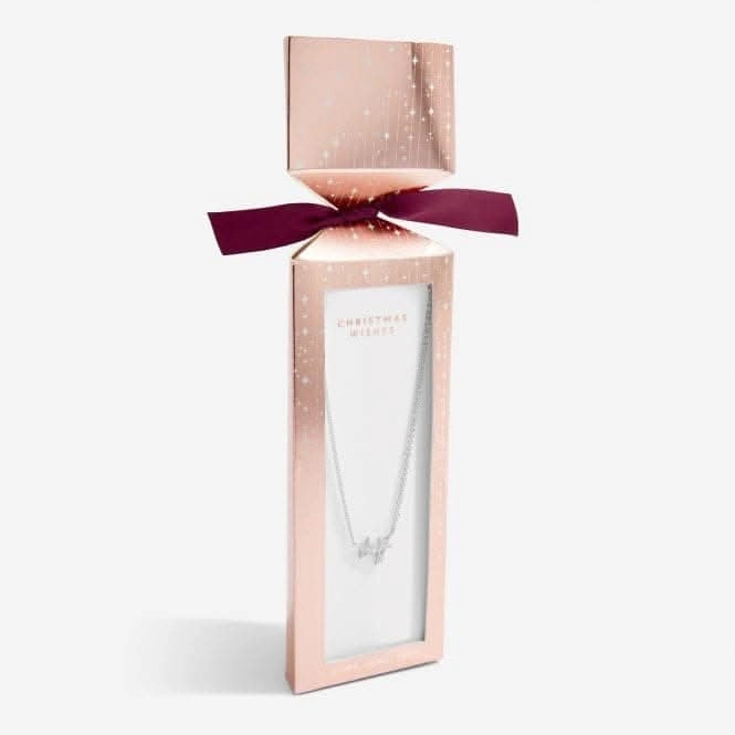 Christmas Cracker Christmas Wishes Silver 46cm   5cm Necklace 6284