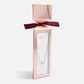 Christmas Cracker Christmas Wishes Silver 46cm   5cm Necklace 6284