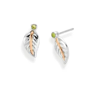 Clogau Awelon Silver Stud Earrings
