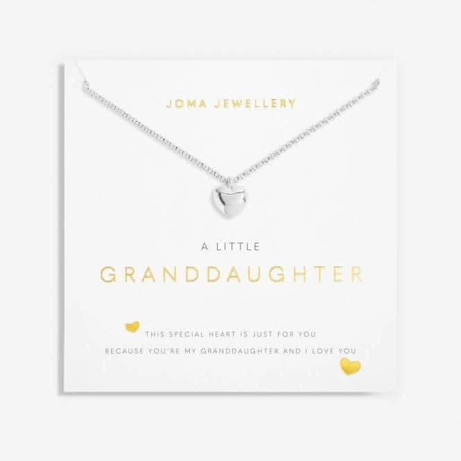 Granddaughter Silver 46cm   5cm Extender Necklace 6115