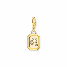 Leo zodiac sign gold charm Pendant