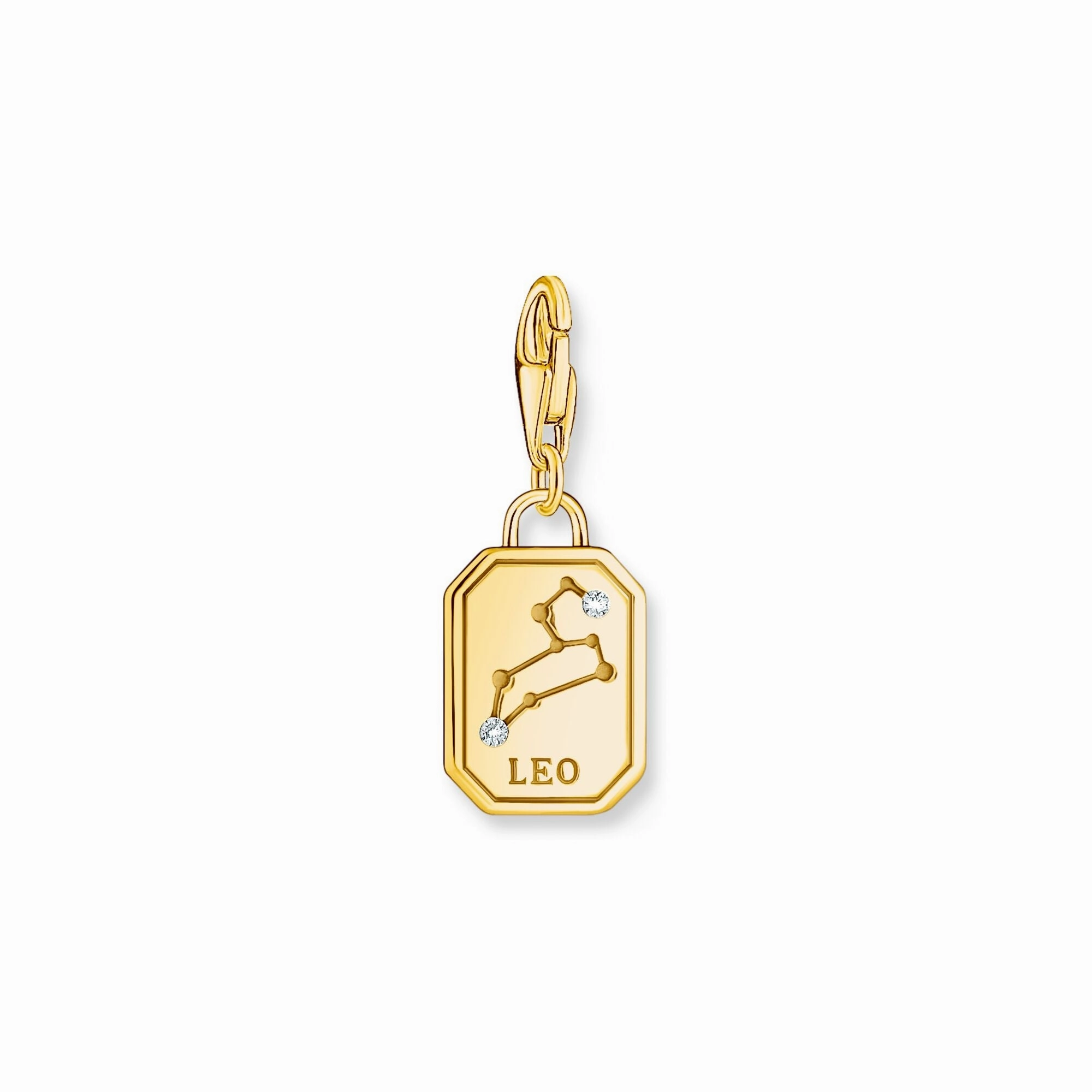 Leo zodiac sign gold charm Pendant