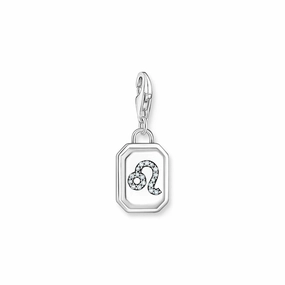 Leo zodiac sign silver charm Pendant