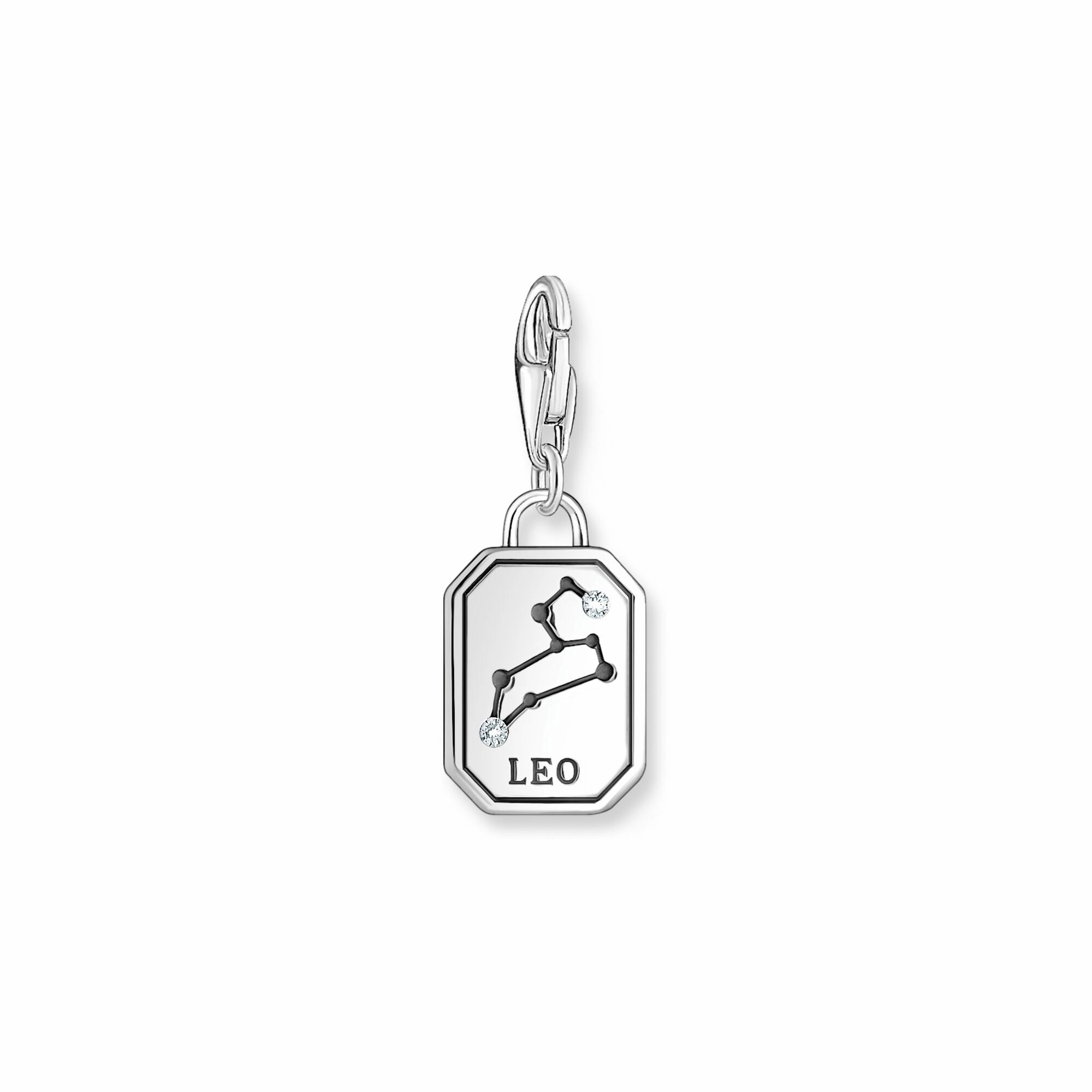Leo zodiac sign silver charm Pendant