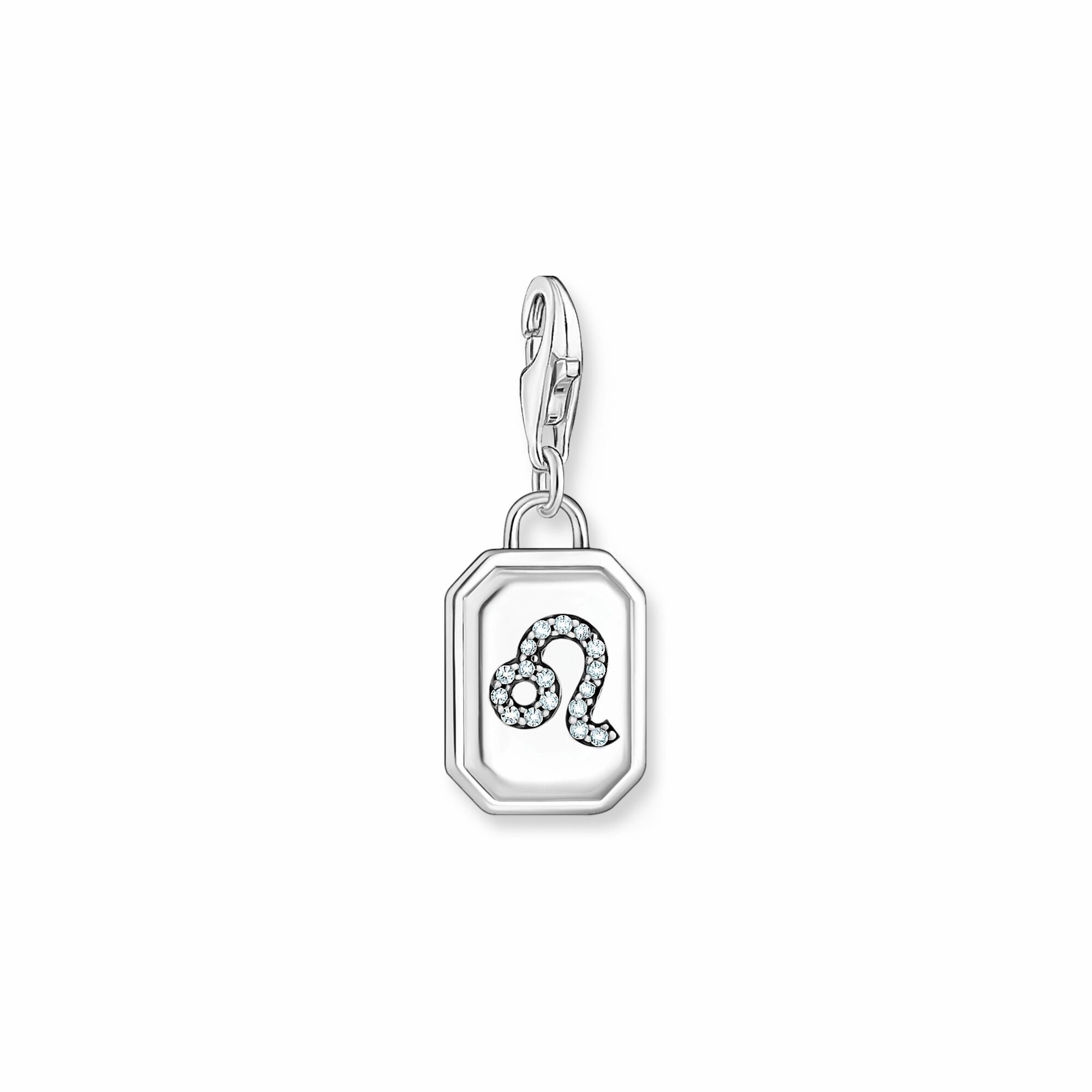 Leo zodiac sign silver charm Pendant