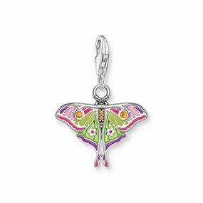 Moth Colourful Silver Charm