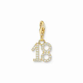 Number 18 gold charm