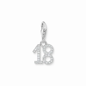 Number 18 silver charm
