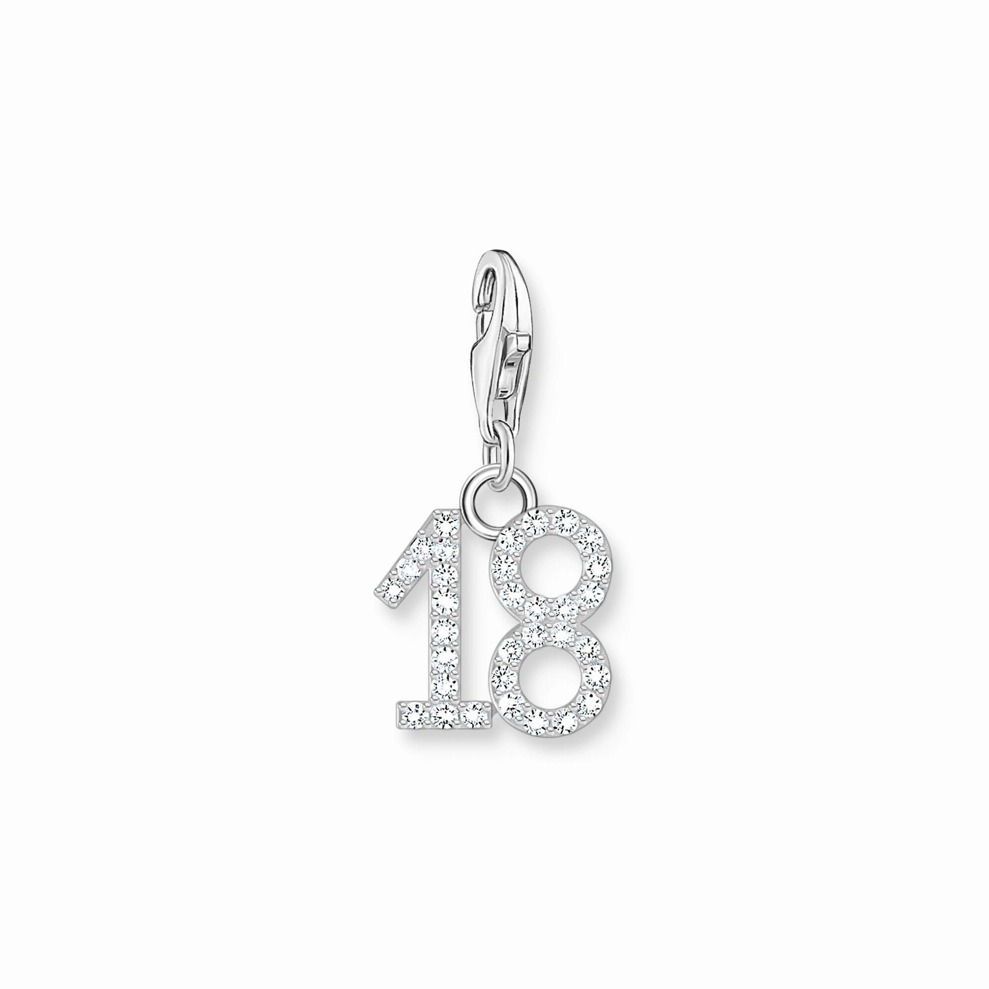Number 18 silver charm