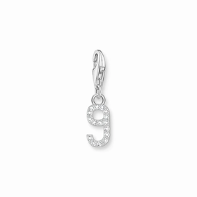 Number 9 silver charm