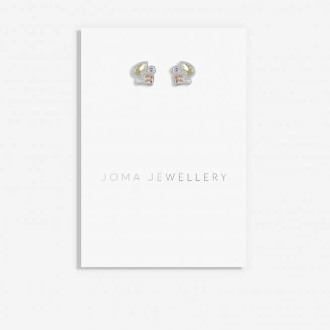 Radiant Treasures Gems Studs Silver Earrings 5839