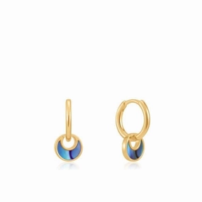 Shiny Gold Tidal Abalone Crescent Huggie Hoop Earrings E027-06G