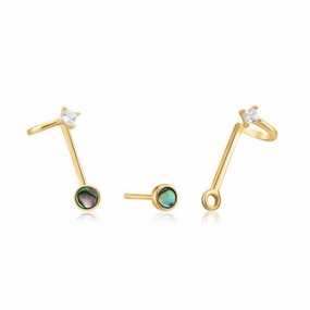 Shiny Gold Tidal Abalone Double Stud Earrings E027-03G