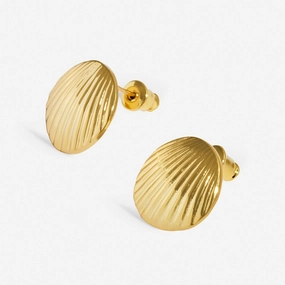 Soul Shine Shell Gold Plated Earrings 8480