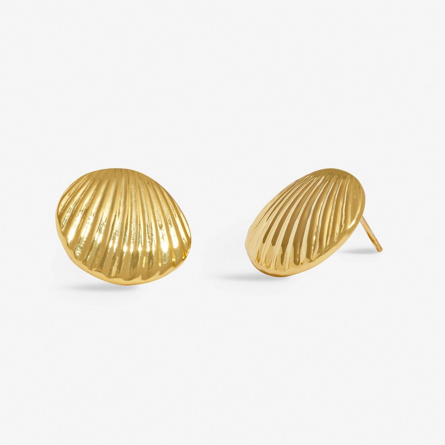 Soul Shine Shell Gold Plated Earrings 8480