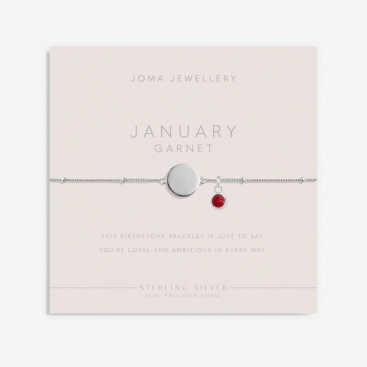 Sterling Silver Birthstone A Little January Bracelet JJS0082