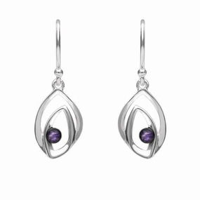 Sterling Silver Blue John Abstract Flame Drop Earrings