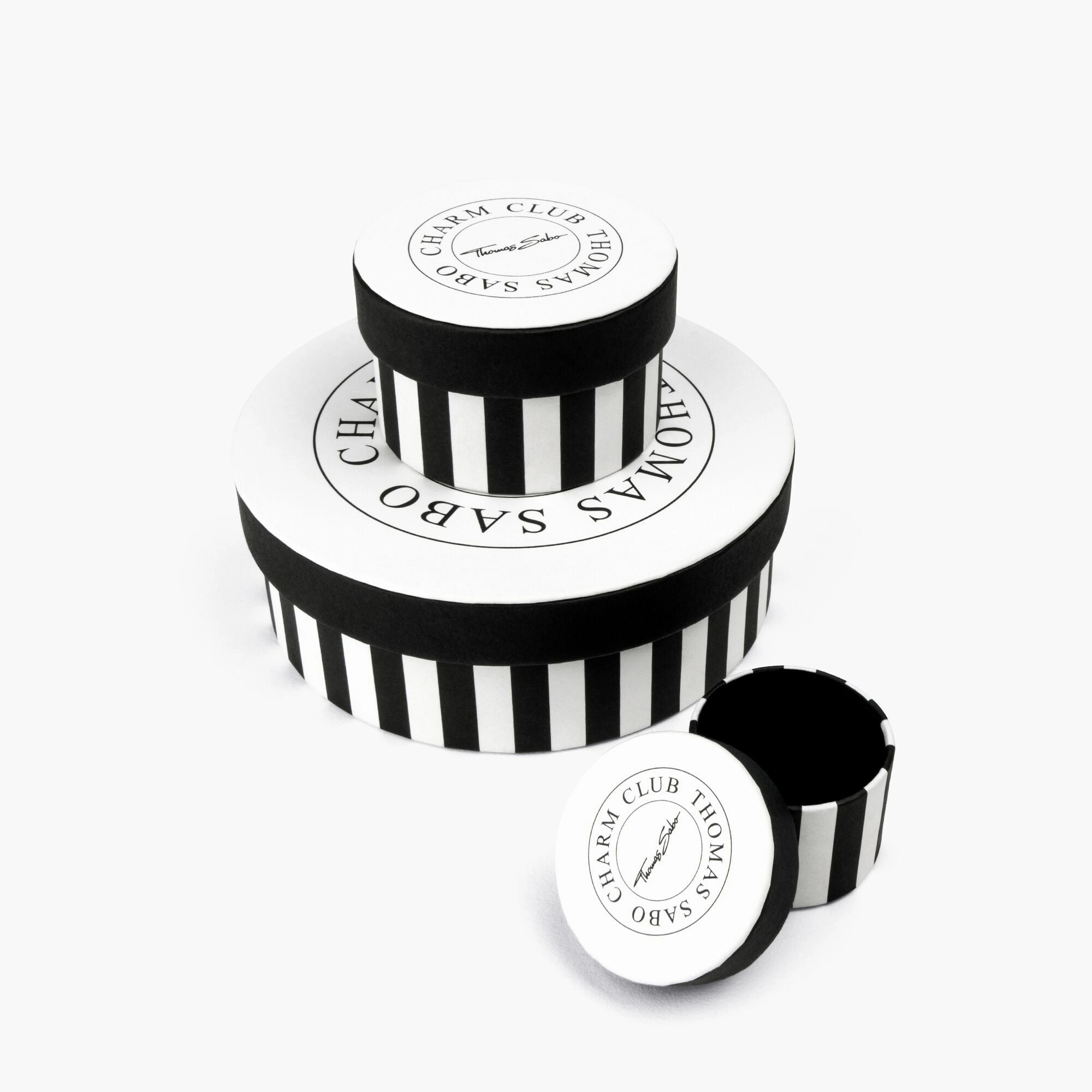Thomas Sabo Feather Pendant Charm