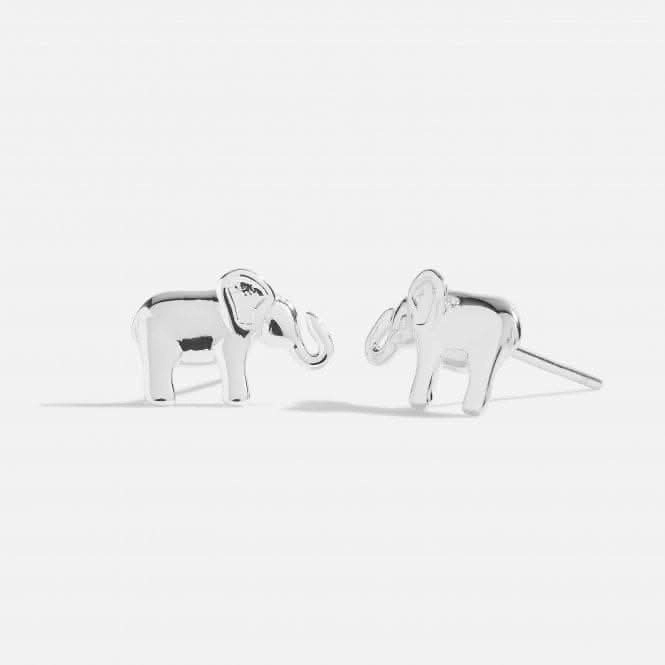 Treasure The Little Things Lucky Elephant 5003