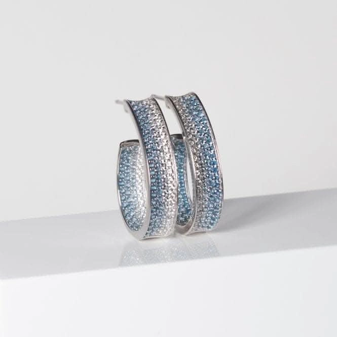White Zirconia Felline Concavo Earrings SJ-E2390-GBL