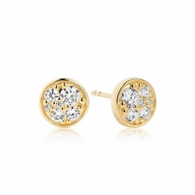White Zirconia Novara Piccolo Earrings SJ-E1055-CZ(YG)