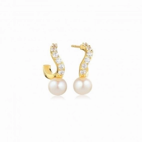 White Zirconia Ponza Creolo Piccolo Earrings SJ-E12350-PCZ-YG